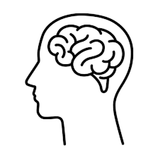 Beyin ve Sinir Cerrahisi (Nöroloji)